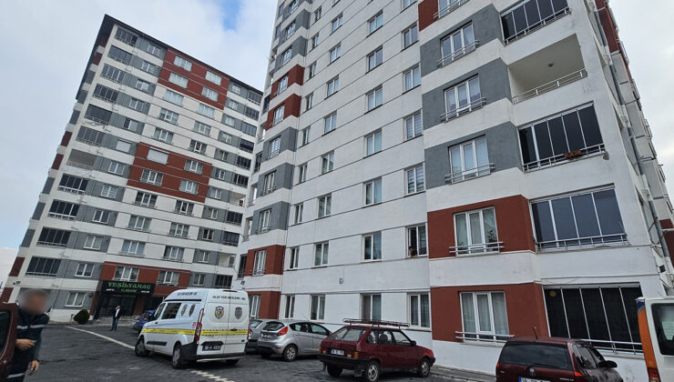 Evi taşınırken tartıştığı nakliyeciyi bıçakladı